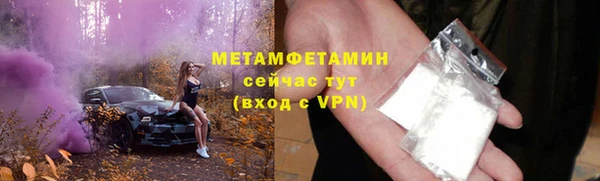 прущие грибы Зеленокумск