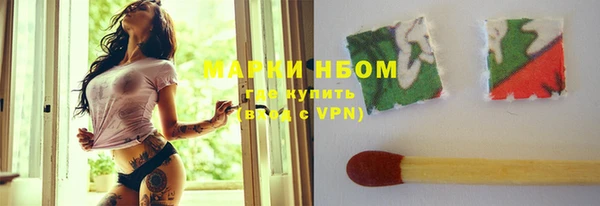прущие грибы Зеленокумск