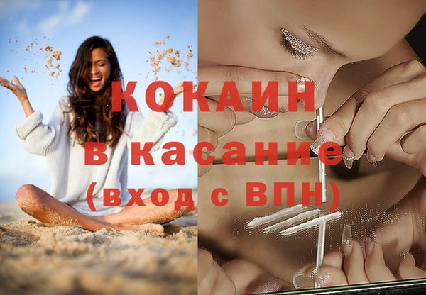 прущие грибы Зеленокумск