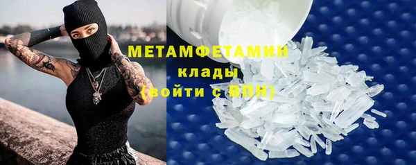 прущие грибы Зеленокумск