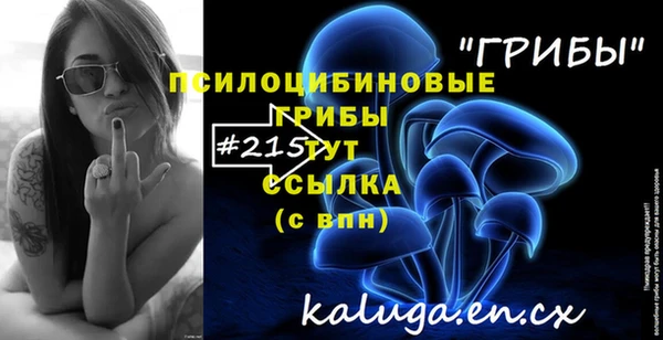 прущие грибы Зеленокумск